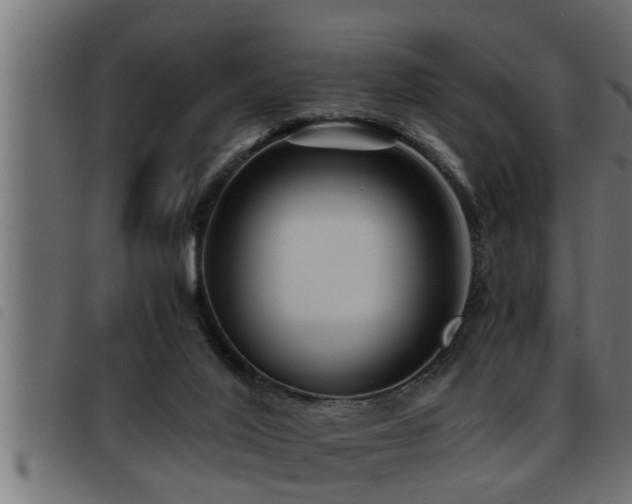 X0000093490020200710121516
