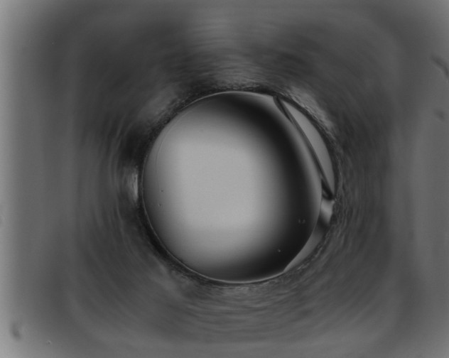 X0000093490021200710121516