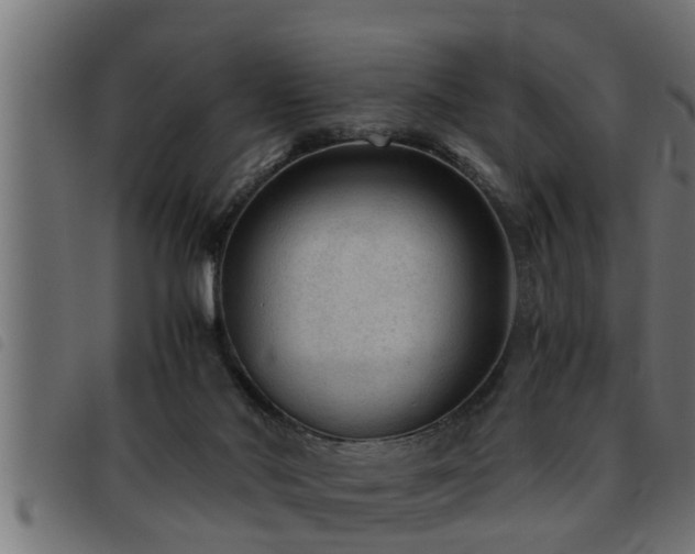 X0000093490022200710121516