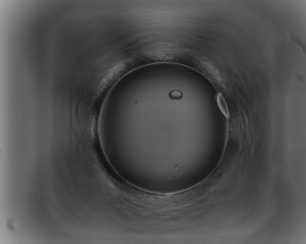 X0000093490023200710121516