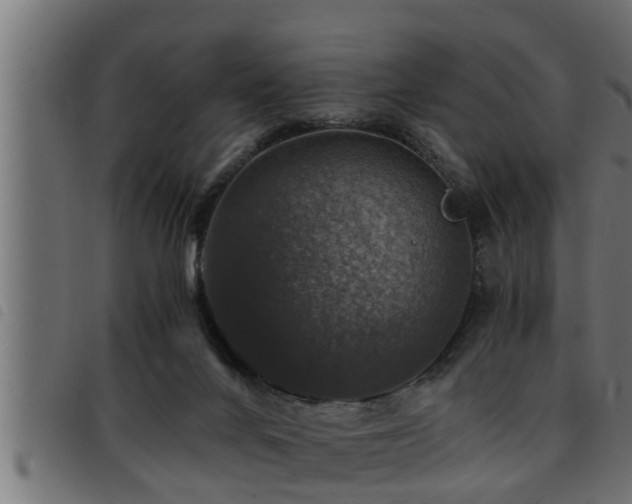 X0000093490024200710121516