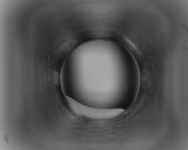X0000093490025200710121516
