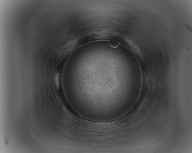X0000093490026200710121516