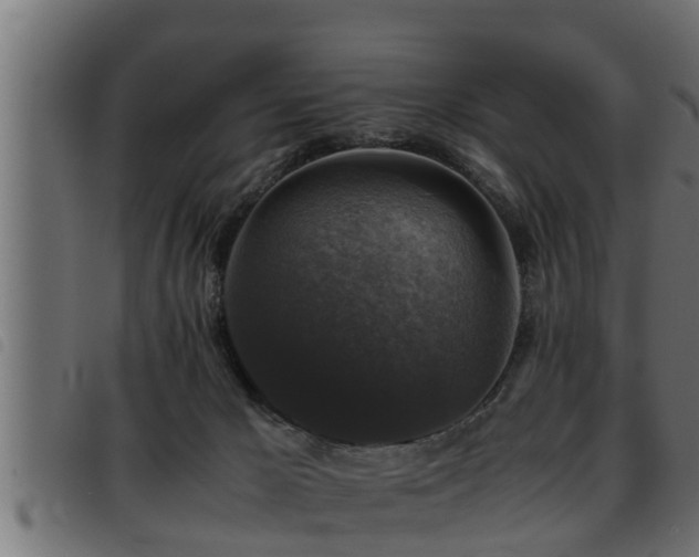 X0000093490029200710121516