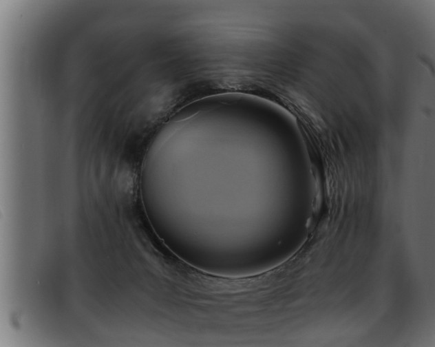 X0000093490031200710121516