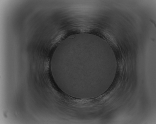 X0000093490032200710121516