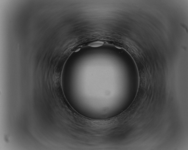 X0000093490034200710121516