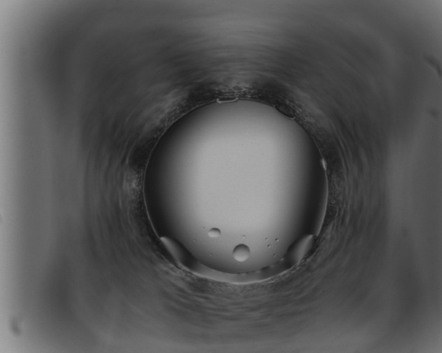 X0000093490037200710121516
