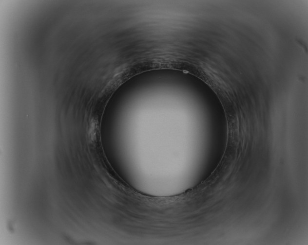 X0000093490038200710121516