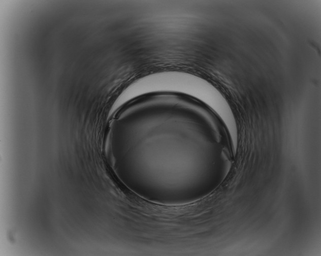 X0000093490039200710121516