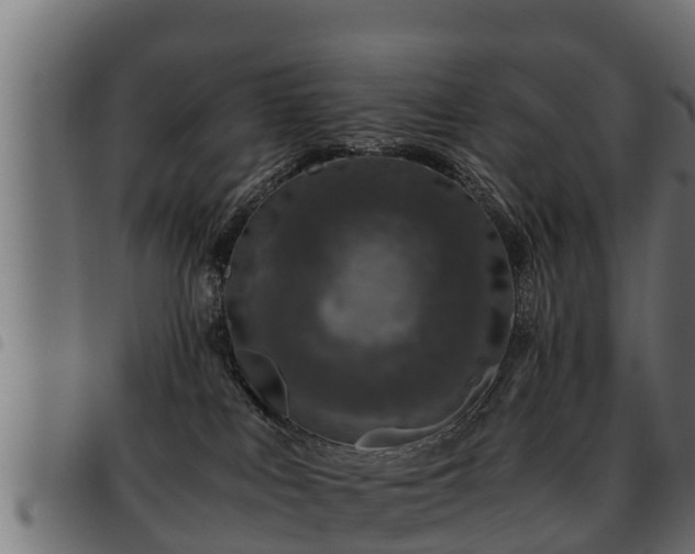 X0000093490043200710121516