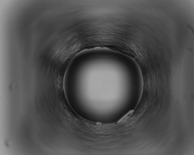 X0000093490044200710121516