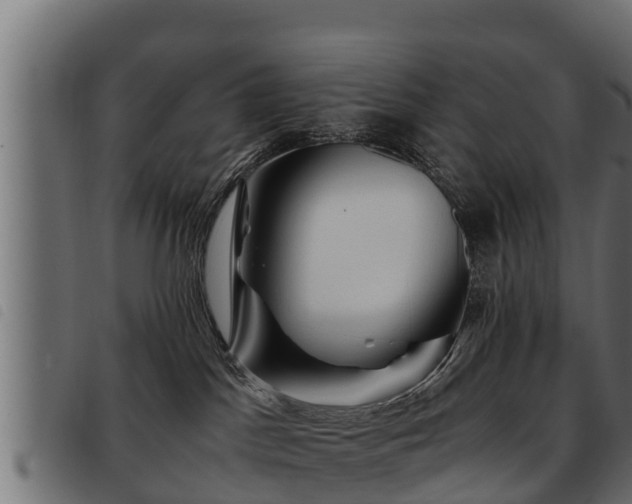 X0000093490045200710121516