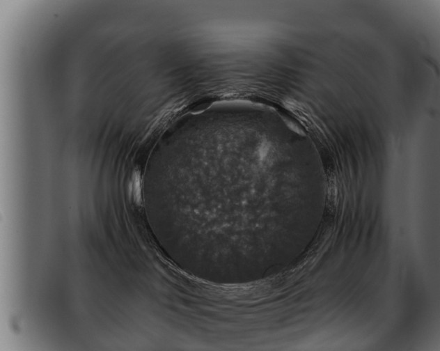 X0000093490046200710121516