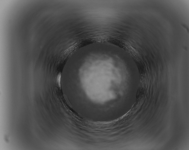 X0000093490047200710121516