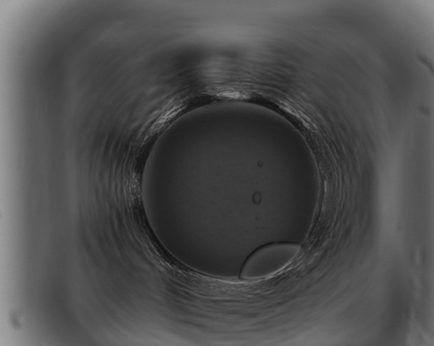 X0000093490048200710121516