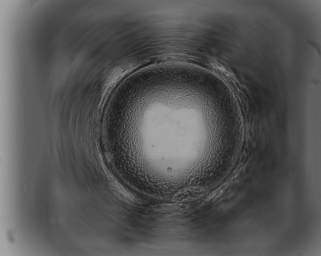 X0000093490049200710121515