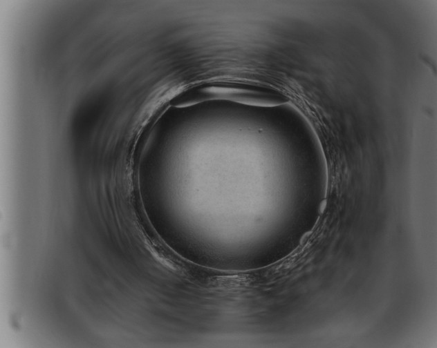 X0000093490050200710121515