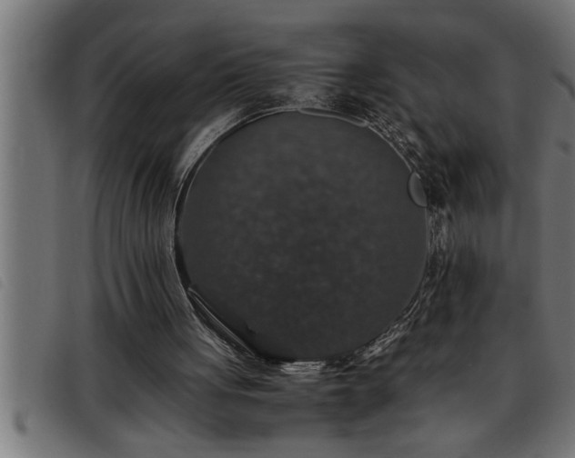 X0000093490051200710121515