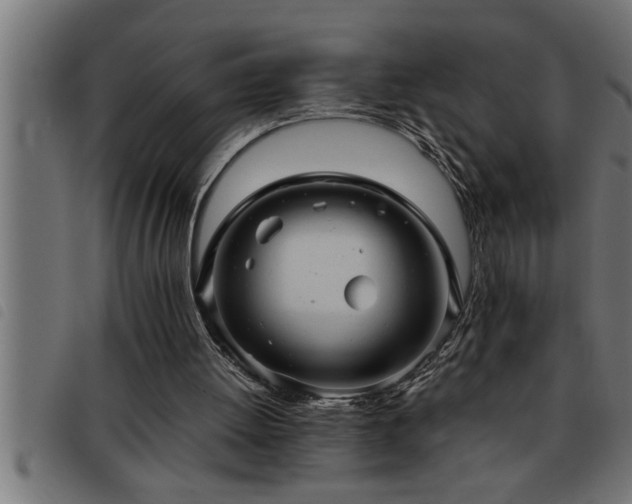 X0000093490052200710121515