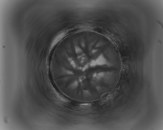 X0000093490053200710121515