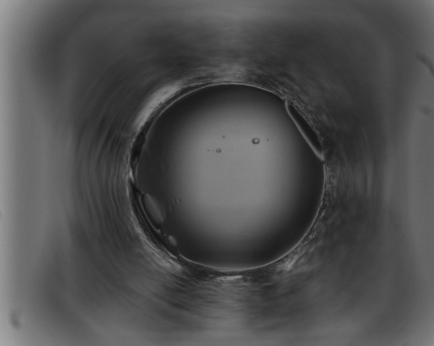 X0000093490054200710121515