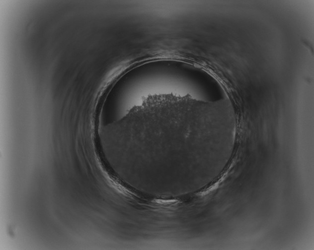 X0000093490055200710121515