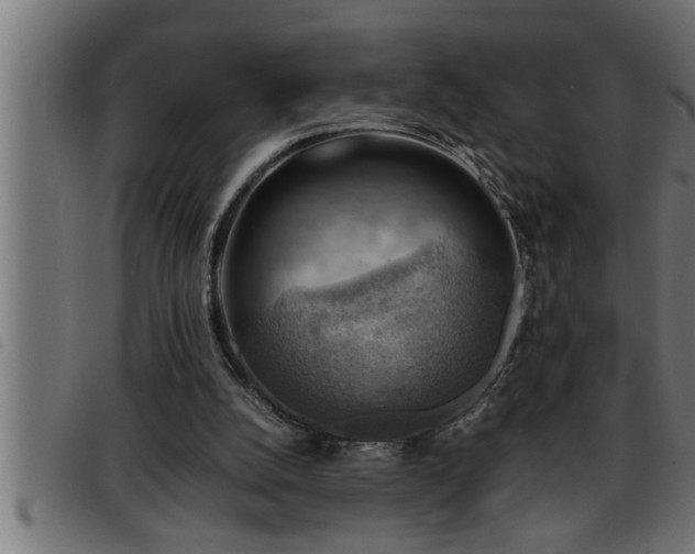 X0000093490056200710121515