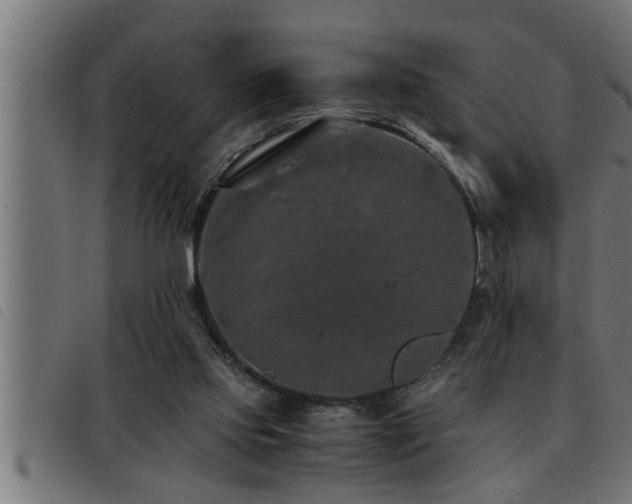 X0000093490061200710121515
