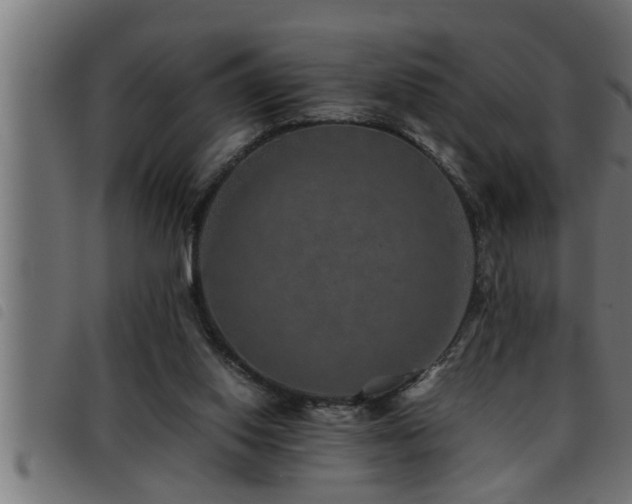 X0000093490062200710121515