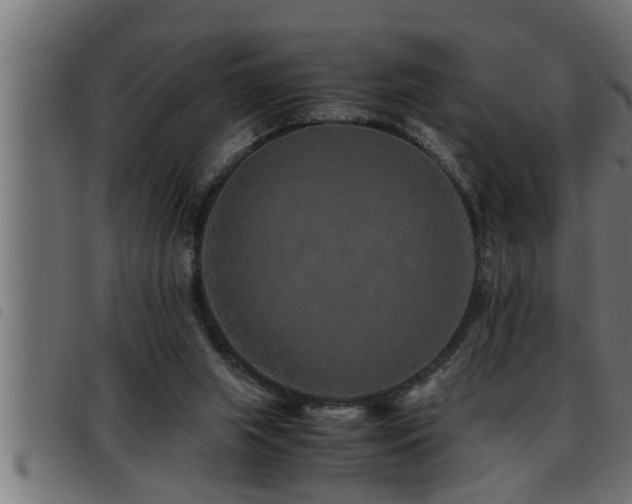 X0000093490063200710121515