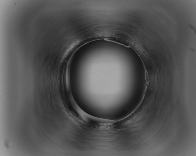 X0000093490064200710121515