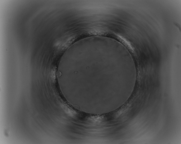 X0000093490065200710121515
