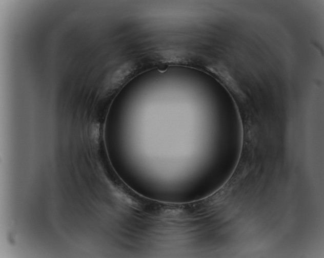 X0000093490066200710121515