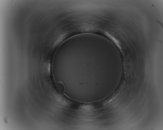 X0000093490067200710121515