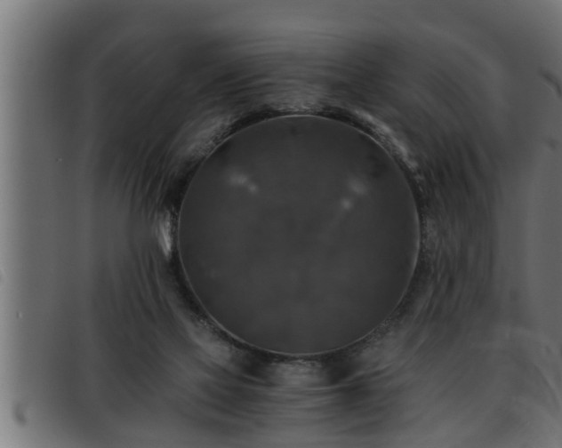 X0000093490069200710121515