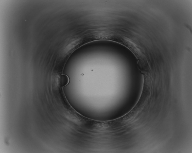 X0000093490071200710121515