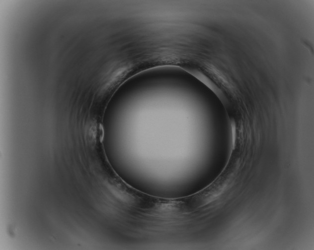X0000093490072200710121515