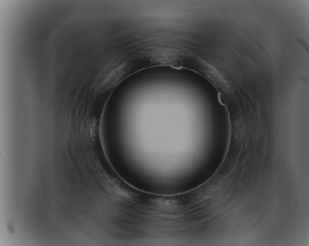 X0000093490073200710121515