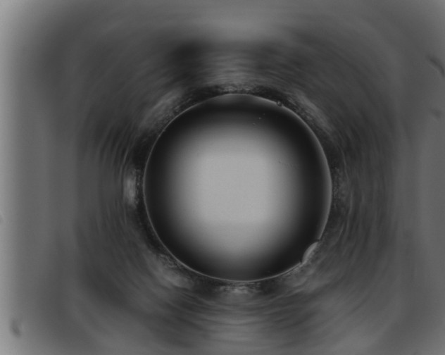 X0000093490074200710121515