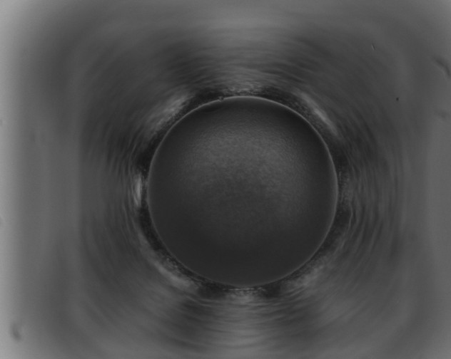 X0000093490076200710121515