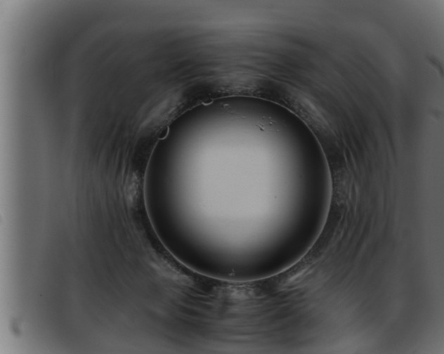 X0000093490077200710121515
