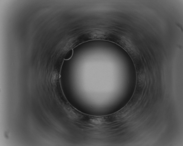 X0000093490079200710121515