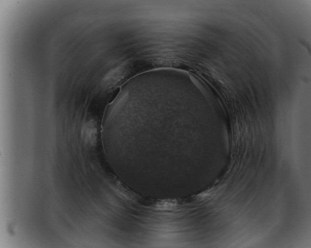 X0000093490080200710121515