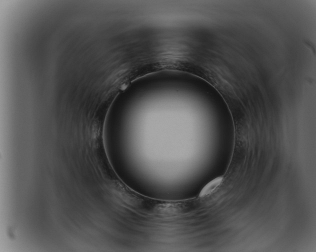 X0000093490082200710121515