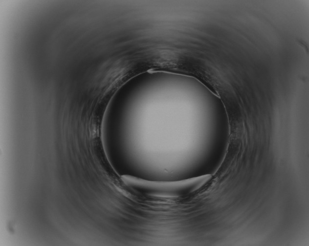 X0000093490084200710121515