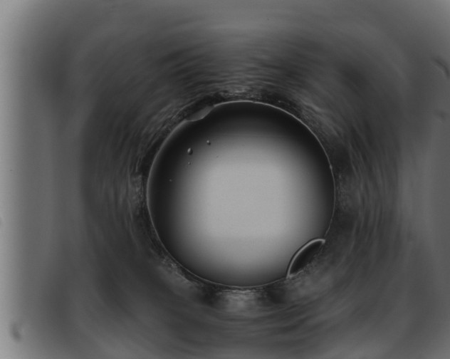 X0000093490085200710121515
