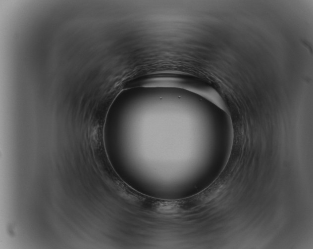 X0000093490088200710121515