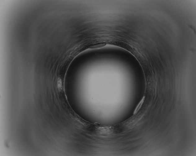 X0000093490089200710121516