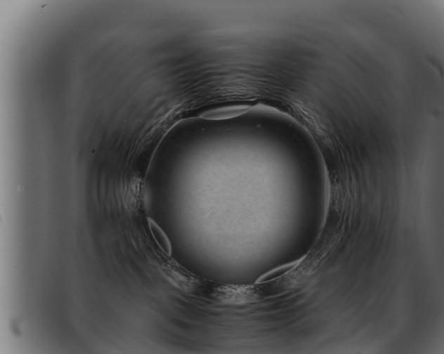 X0000093490093200710121516